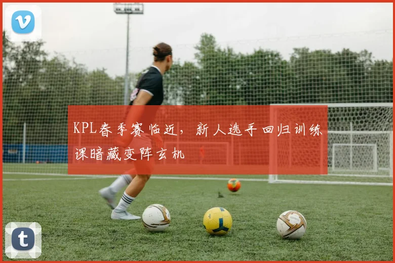 KPL春季赛临近，新人选手回归训练课暗藏变阵玄机