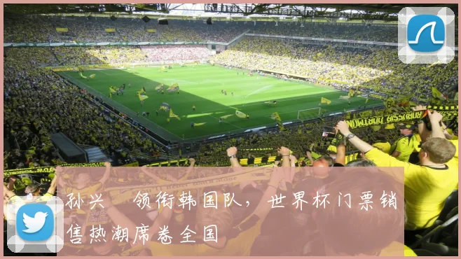孙兴慜领衔韩国队，世界杯门票销售热潮席卷全国